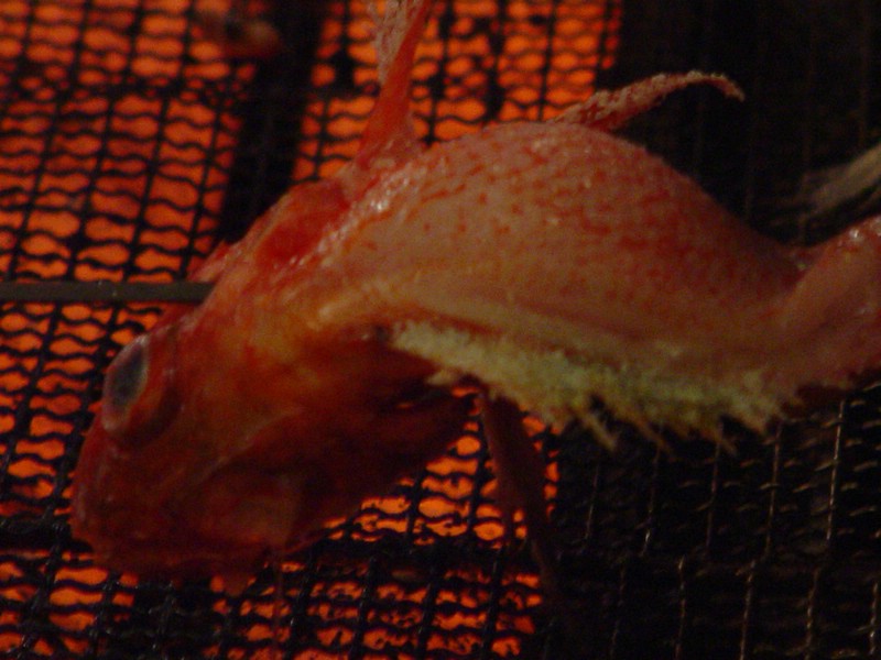 19-fish on grill.jpg