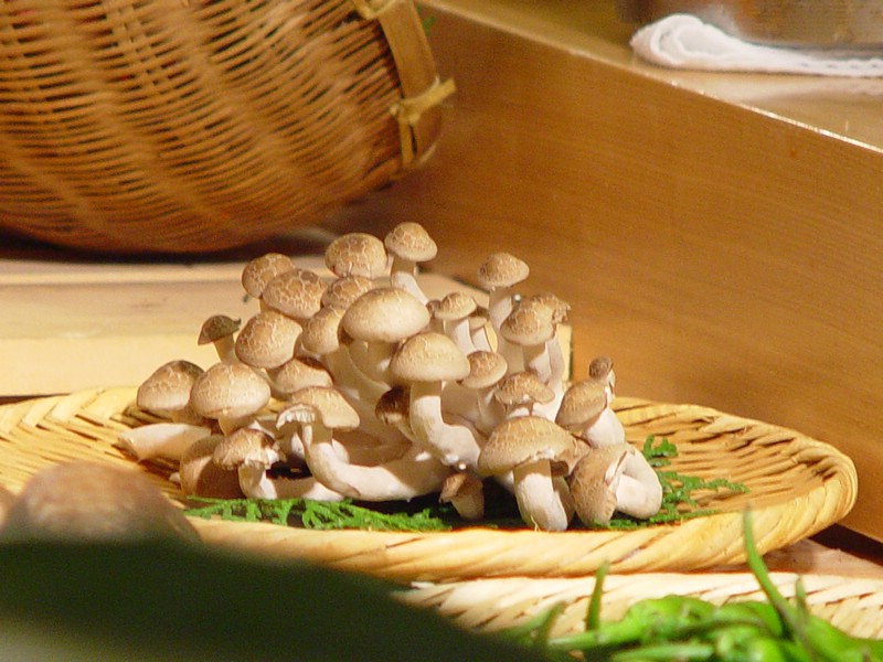21-mushrooms.jpg