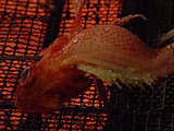 19-fish on grill.jpg