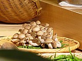21-mushrooms.jpg