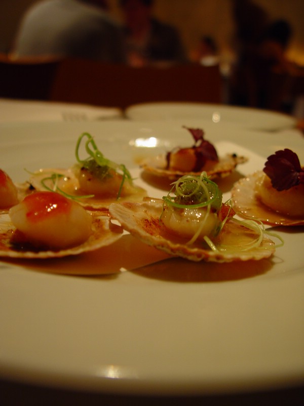 10-scallops2.jpg