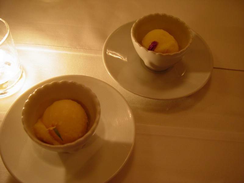 20-Sorbet.jpg