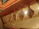 18-Hanging Ham.jpg