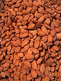 24-almonds.jpg