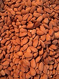 24-almonds.jpg