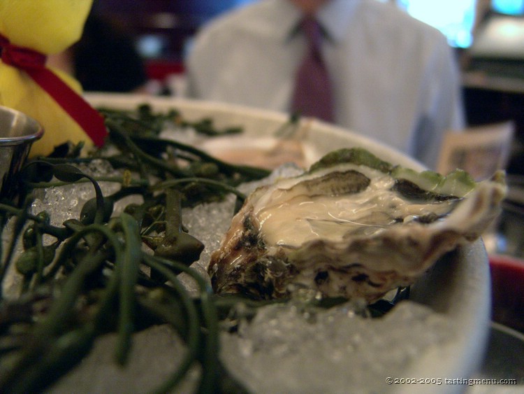 08-oysters.jpg