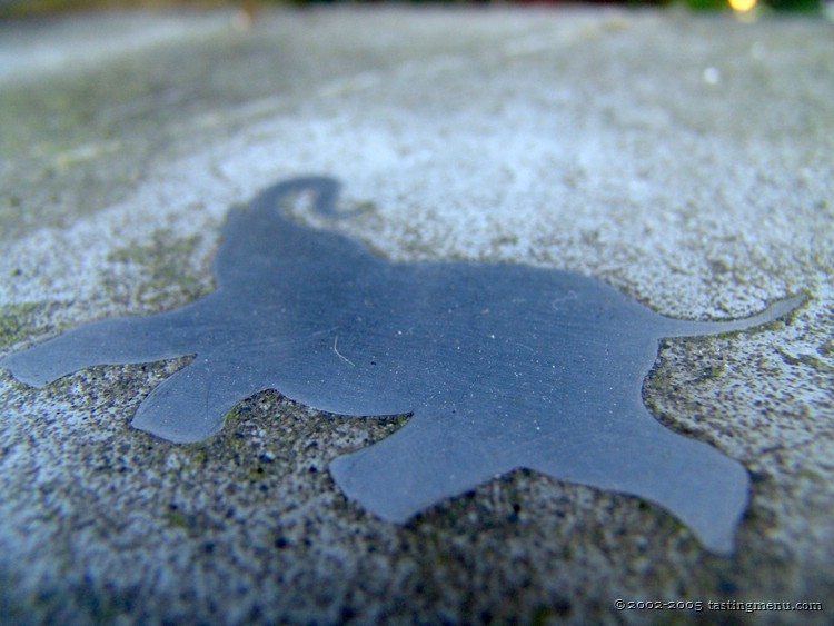 03-elephant in concrete.jpg