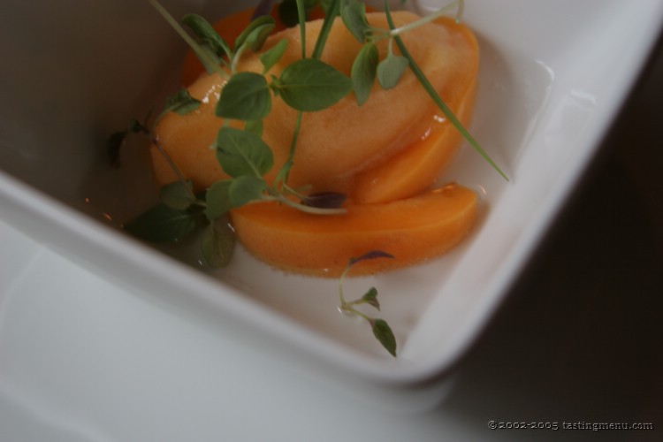 17-apricot sorbet with muscato.jpg