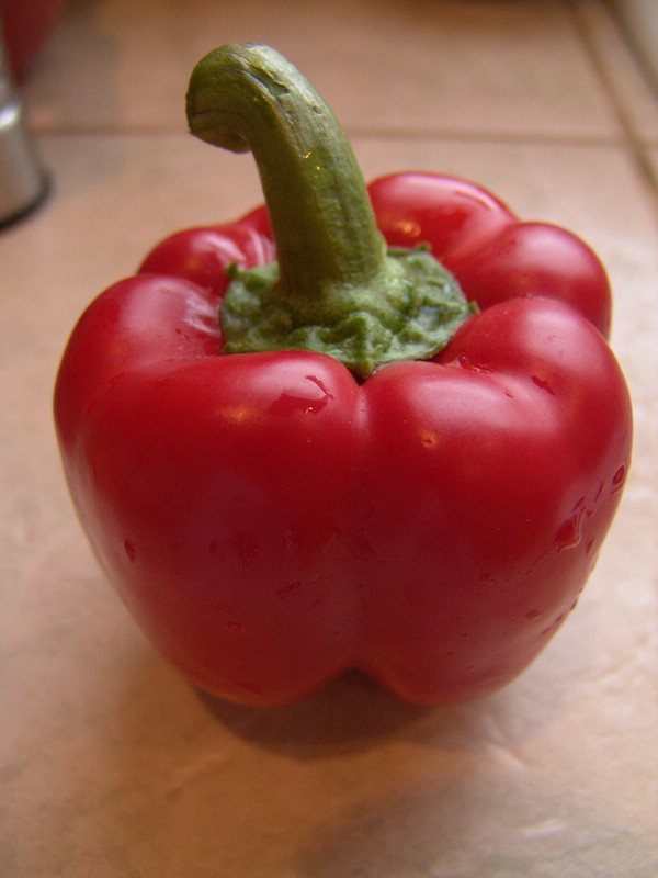 03-Red Pepper.jpg