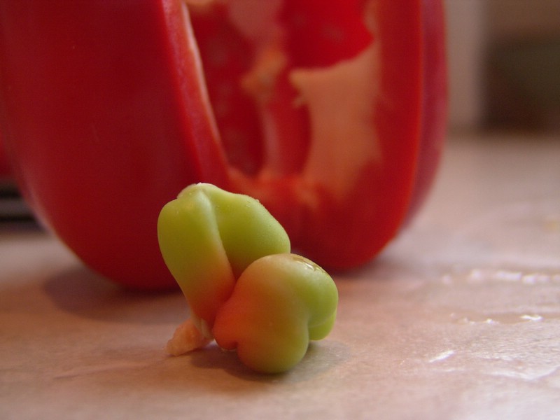 04-Fetal Pepper.jpg
